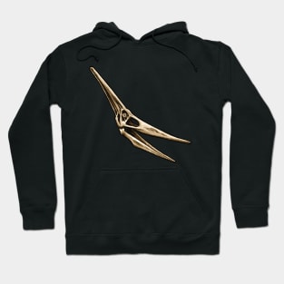 Pteranodon Ingens Skull Hoodie